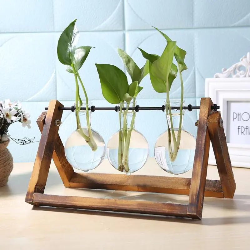 🌿 Glass and Wood Vase Planter – Elegant Desktop & Table Decor - Modern