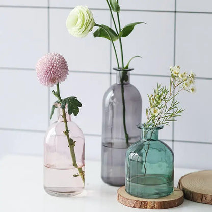 🌿 Nordic Glass Flower Vase – Elegant & Minimalist Home Decor - Modern