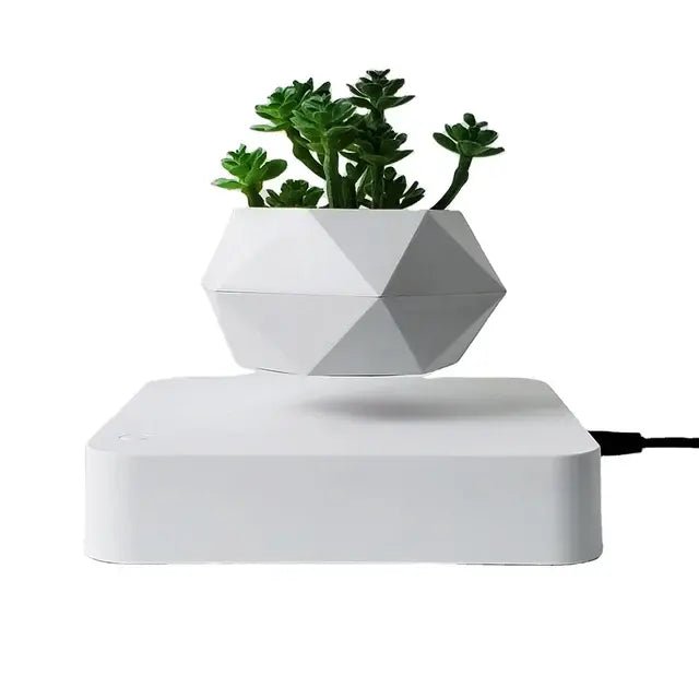 🌿 Potted Plant Home Desk Decor – Bring Nature to Your Workspace - Modern