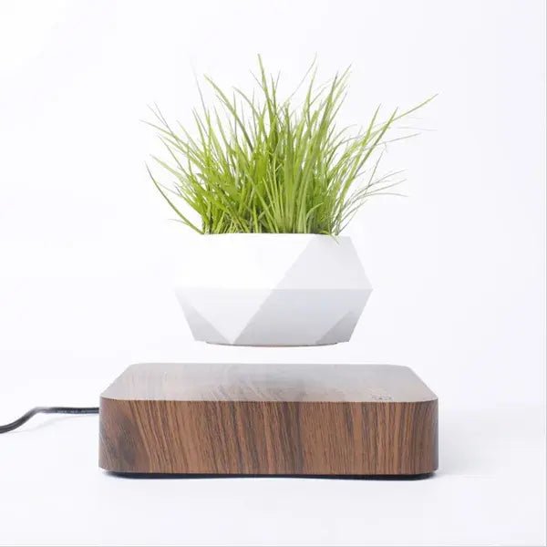 🌿 Potted Plant Home Desk Decor – Bring Nature to Your Workspace - Modern