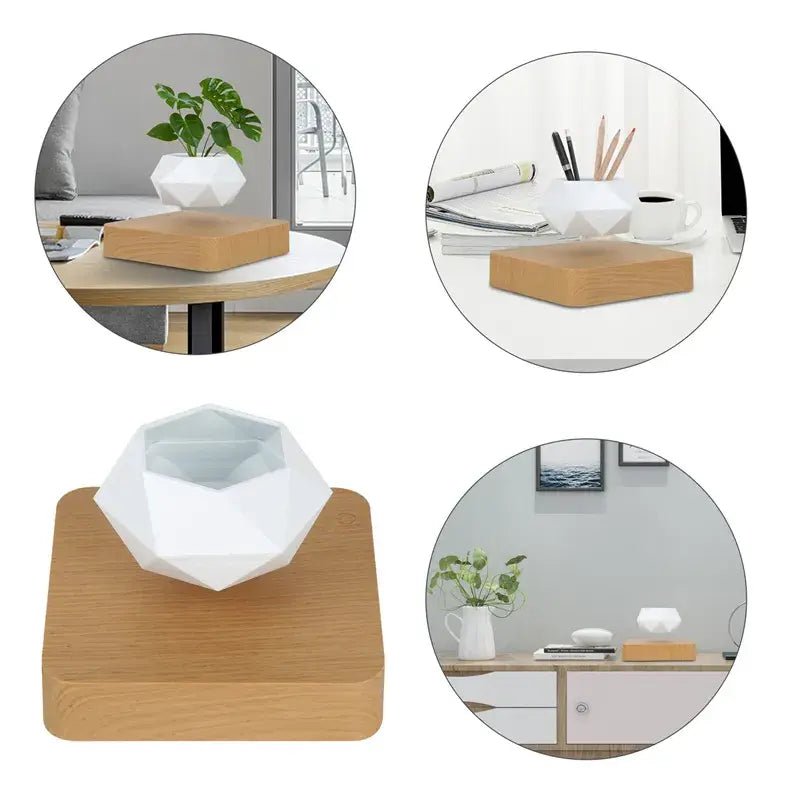 🌿 Potted Plant Home Desk Decor – Bring Nature to Your Workspace - Modern