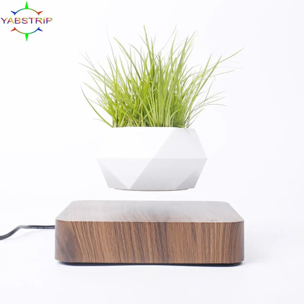 🌿 Potted Plant Home Desk Decor – Bring Nature to Your Workspace - Modern