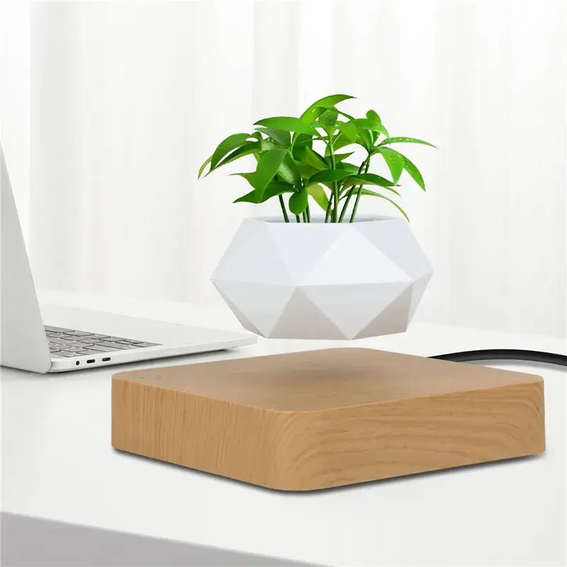 🌿 Potted Plant Home Desk Decor – Bring Nature to Your Workspace - Modern