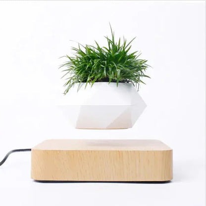 🌿 Potted Plant Home Desk Decor – Bring Nature to Your Workspace - Modern